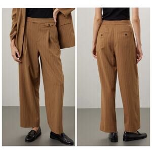 Madewell High-Rise Rosedale Straight Pants Trousers Tan Pleated Stripe Sz 4 NEW